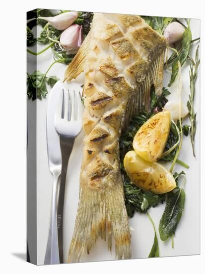 Fried Sea Bass with Herbs, Garlic and Lemon-null-Premier Image Canvas