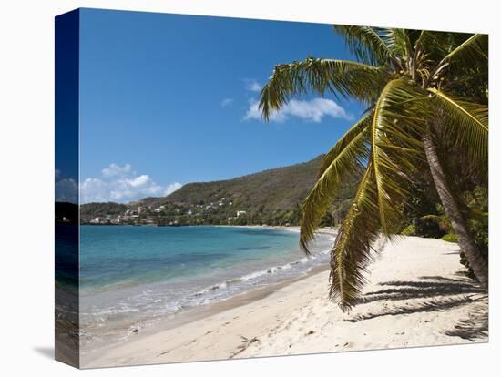 Friendship Bay Beach, Bequia, St. Vincent and the Grenadines, Windward Islands, West Indies-Michael DeFreitas-Premier Image Canvas
