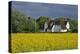 Friesenhof' Behind a Rape Field at 'Bob Terp' (Street) in Archsum (Village) on the Island of Sylt-Uwe Steffens-Premier Image Canvas