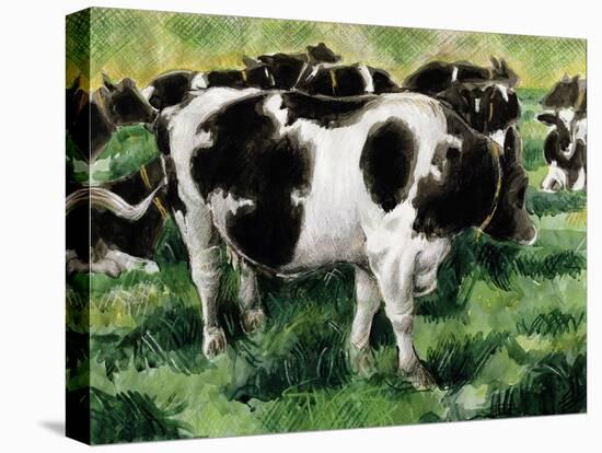 Friesian Cows-Gareth Lloyd Ball-Premier Image Canvas