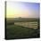 Friesland, Fence in a Field Near Workum-Marcel Malherbe-Premier Image Canvas