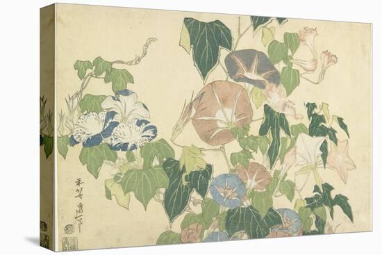 Frog and Morning Glories, C. 1832-Katsushika Hokusai-Premier Image Canvas