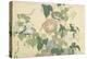 Frog and Morning Glories, C. 1832-Katsushika Hokusai-Premier Image Canvas