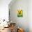 Frog Frolic - Playmate-William McLauchlan-Premier Image Canvas displayed on a wall