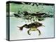 Frog Jumping Into an Aquarium-Gjon Mili-Premier Image Canvas