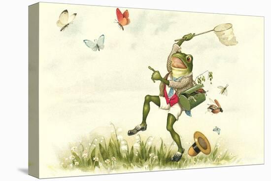 Frog Lepidopterist-null-Stretched Canvas