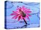 Frog on water lily in pond-Fadil-Premier Image Canvas