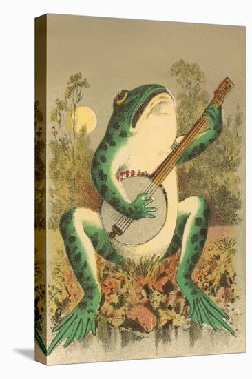 Frog Playing Banjo in Moonlight-null-Stretched Canvas