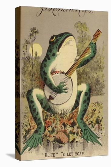 Frog Playing Banjo-null-Premier Image Canvas