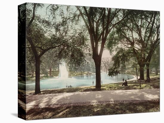 Frog Pond-null-Stretched Canvas