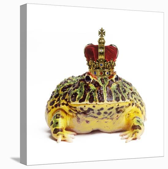 Frog Prince Wearing Crown-Andy and Clare Teare-Premier Image Canvas