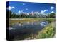 from Schwabacher's Landing Across the Snake River to the Teton Range, Grand Teton National Park-Ruth Tomlinson-Premier Image Canvas