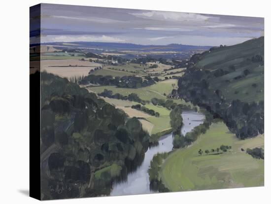 From Symonds Yat Rock, July-Tom Hughes-Premier Image Canvas