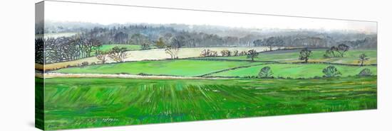 From the Top of Farley Hill, 2008, (Oil on Canvas)-Helen White-Premier Image Canvas