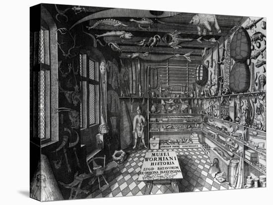 Frontispiece of Ole Worm's Cabinet of Curiosities from 'Museum Wormianum' by Ole Worm-G. Wingendorp-Premier Image Canvas