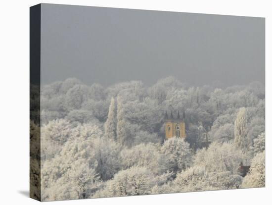 Frost and Church-Magda Indigo-Premier Image Canvas