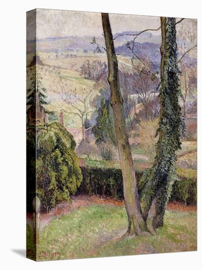Frost and Mist, Summerleaze, East Knoyle, 1917 (Oil on Canvas)-Lucien Pissarro-Premier Image Canvas
