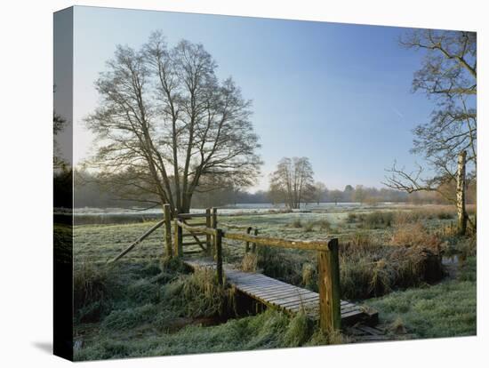 Frost at Thundery Meadows, Elstead, Surrey, England, UK-Pearl Bucknall-Premier Image Canvas