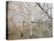 Frost-Covered Birch Trees, Town of Cakovice, Prague, Czech Republic, Europe-Richard Nebesky-Premier Image Canvas