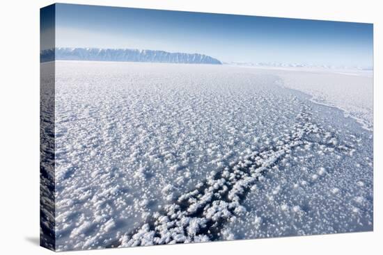 Frost Flowers Formed on Thin Sea Ice When the Atmosphere Is Much Colder Than the Underlying Ice-Louise Murray-Premier Image Canvas