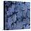 Frost on Leaves-John Miller-Premier Image Canvas