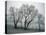 Frost on Trees on Farmland in Winter-Hodson Jonathan-Premier Image Canvas