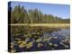 Frost River, Boundary Waters Canoe Area Wilderness, Superior National Forest, Minnesota, USA-Gary Cook-Premier Image Canvas