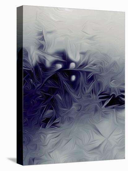 Frost2, 2021, (digital)-Scott J. Davis-Premier Image Canvas