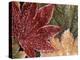 Frosted Maple Leaves, Oregon, USA-Stuart Westmorland-Premier Image Canvas