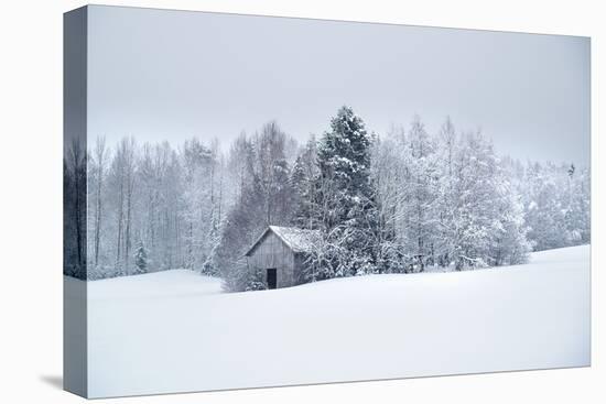 Frosty Escape-Andreas Stridsberg-Stretched Canvas