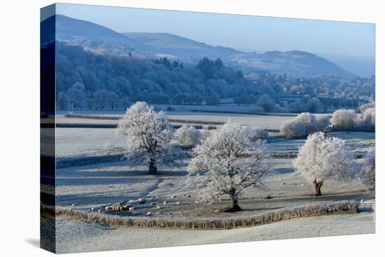Frosty landscape, Powys, Wales, United Kingdom, Europe-Graham Lawrence-Premier Image Canvas