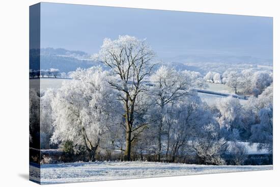 Frosty landscape, Powys, Wales, United Kingdom, Europe-Graham Lawrence-Premier Image Canvas