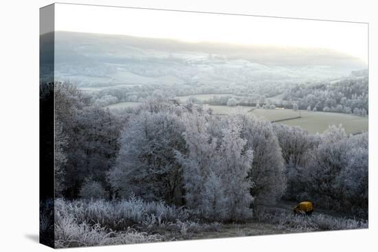 Frosty landscape, Powys, Wales, United Kingdom, Europe-Graham Lawrence-Premier Image Canvas