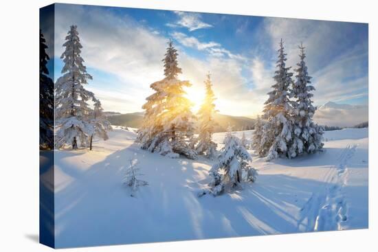 Frosty Morning in the Mountains, Panorama of Winter Mountains, Ukraine, Carpathians-Kotenko-Premier Image Canvas