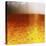 Frothy Beer-Hermann Mock-Premier Image Canvas