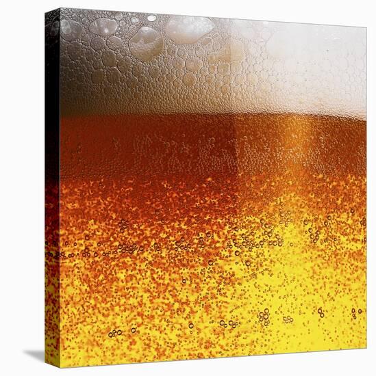 Frothy Beer-Hermann Mock-Premier Image Canvas