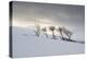 Frozen Hills-Andreas Stridsberg-Stretched Canvas