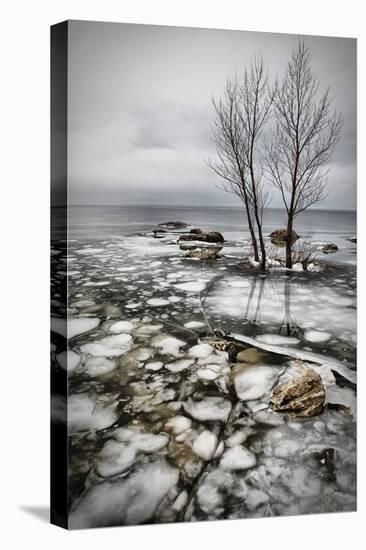 Frozen Lake-Vedran Vidak-Premier Image Canvas