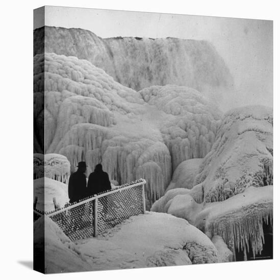 Frozen Niagara Falls, Trees, Park Grounds and Rocks Covered with Ice and Mist-Andreas Feininger-Premier Image Canvas