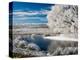Frozen Pond and Hoar Frost on Willow Tree, near Omakau, Hawkdun Ranges, Central Otago, New Zealand-David Wall-Premier Image Canvas