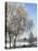 Frozen Pond in Park Landscape with Birch Trees Covered in Hoarfrost, Belgium-Philippe Clement-Premier Image Canvas