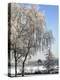 Frozen Pond in Park Landscape with Birch Trees Covered in Hoarfrost, Belgium-Philippe Clement-Premier Image Canvas