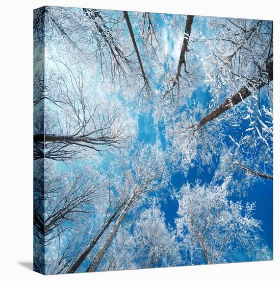 Frozen Sky-Philippe Sainte-Laudy-Premier Image Canvas