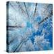 Frozen Sky-Philippe Sainte-Laudy-Premier Image Canvas