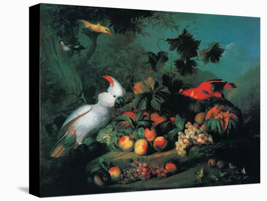 Fruit and Birds-Jakob Bogdany-Stretched Canvas