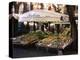 Fruit and Vegetable Shop in the Piazza Mercato, Frascati, Lazio, Italy-Michael Newton-Premier Image Canvas