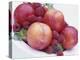 Fruit Bowl with Red Plums and Raspberries-Linda Burgess-Premier Image Canvas