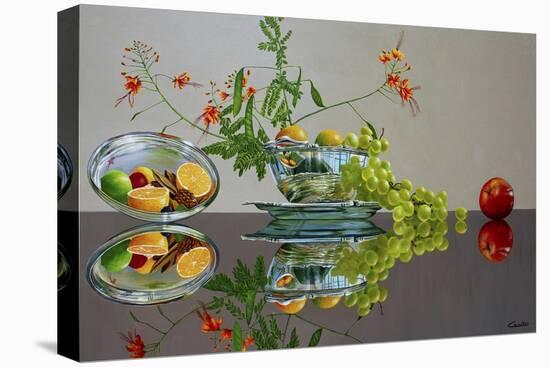 Fruit Bowl-Eduardo Camoes-Premier Image Canvas