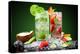 Fruit Cocktail With Dark Background-Jag_cz-Premier Image Canvas