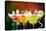 Fruit Cocktails On Black Background-Kesu01-Premier Image Canvas